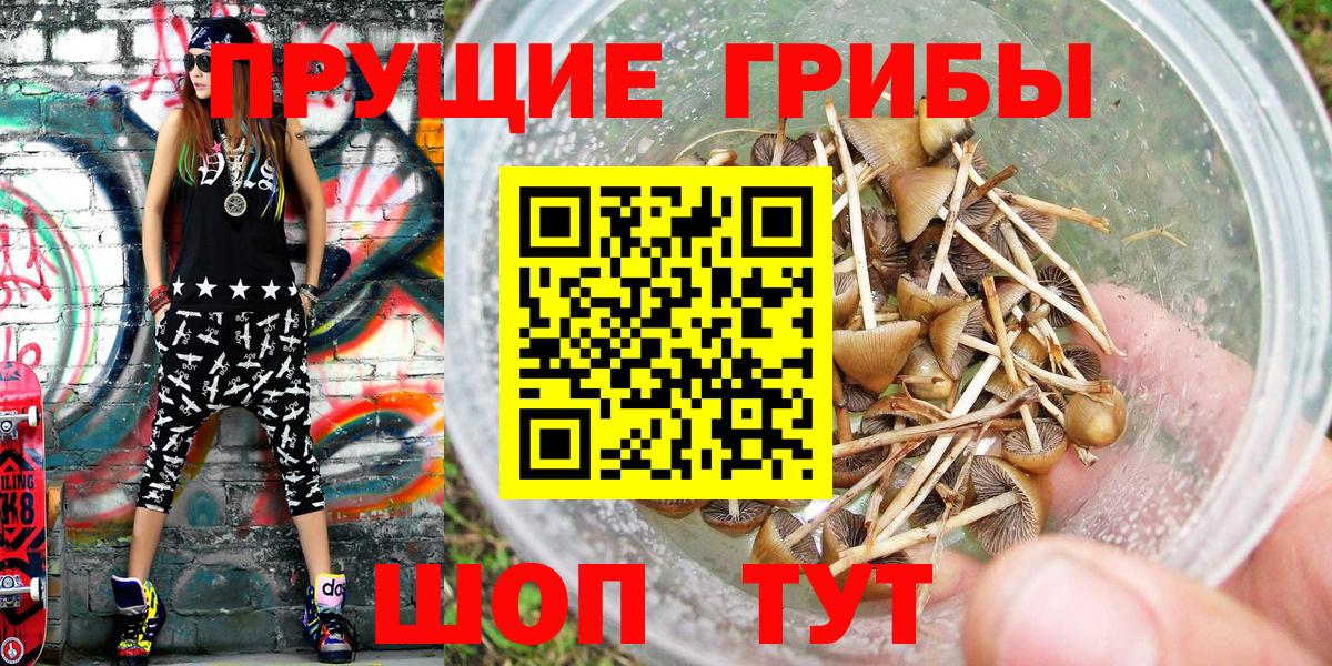 Чернушка  Псилоцибиновые грибы Magic Shrooms  Вход с VPN 